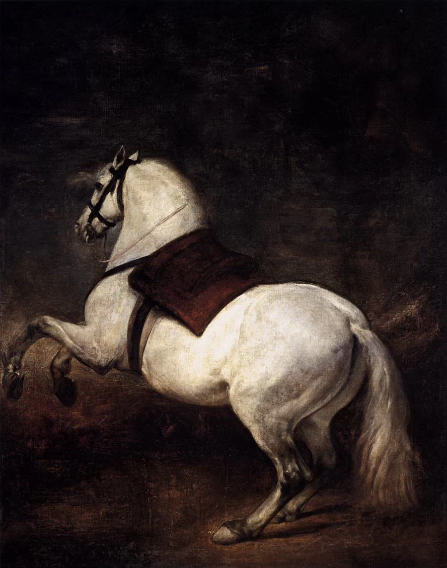 Cavallo bianco - Palacio Real, Madrid